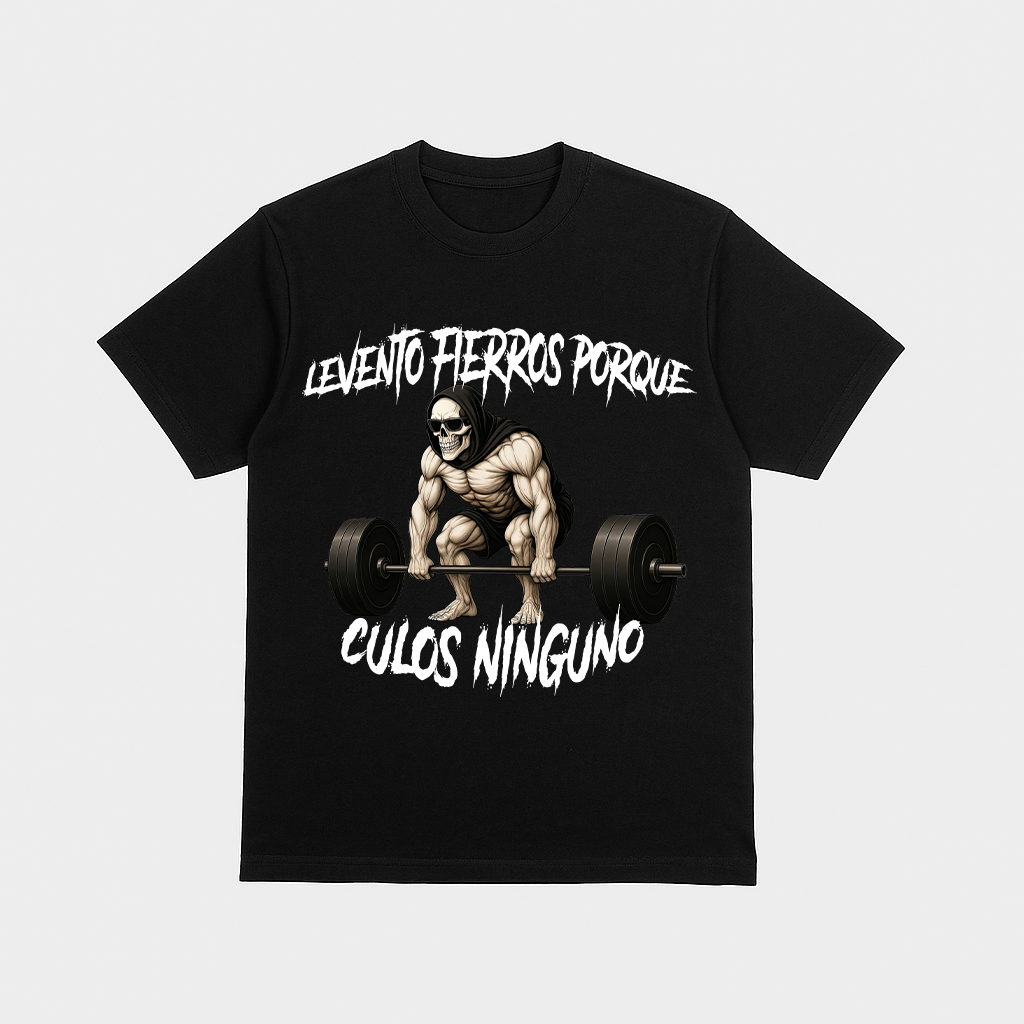 Levanto Fierros